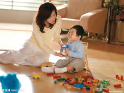 上海顺和家政黄浦店 专业钟点工服务指南与选择